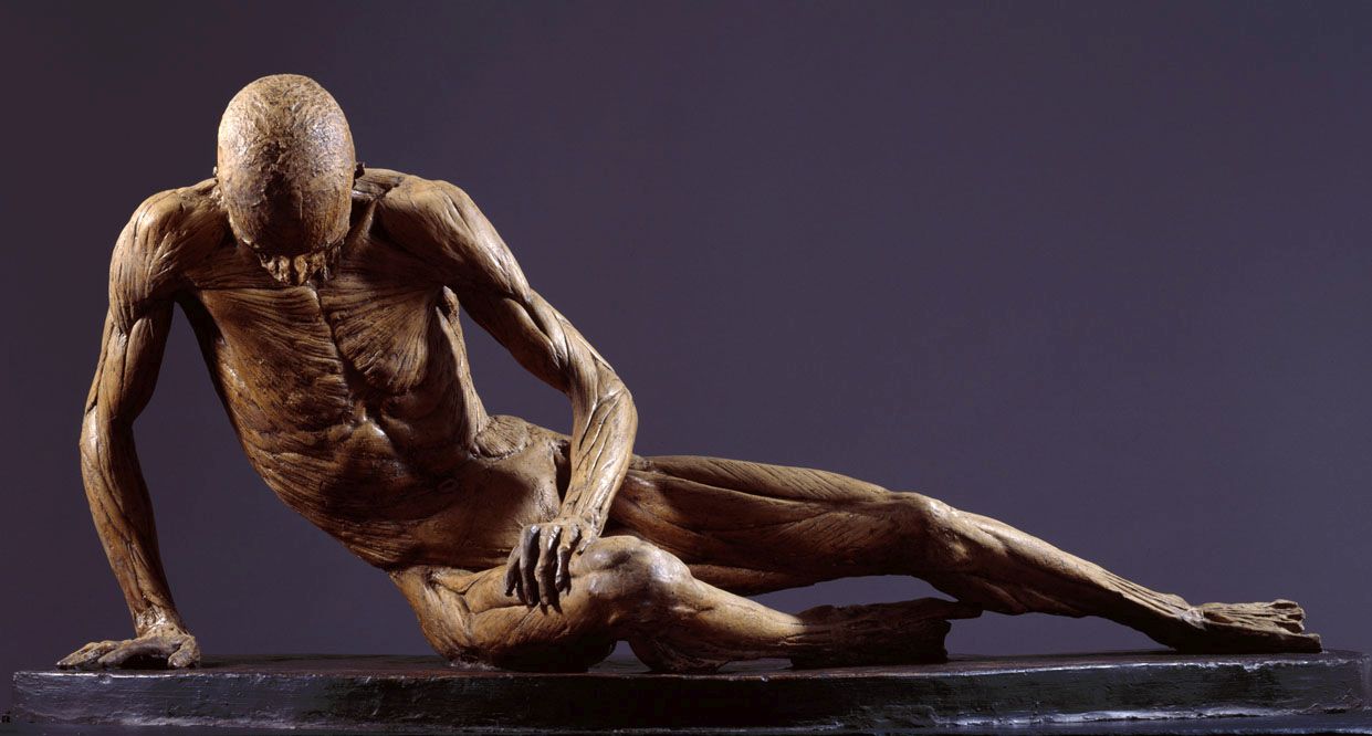 Figure 6.6: William Pink, after Agostino Carlini, 'Smugglerius' (1776, 1834). © Royal Academy of Arts, London.