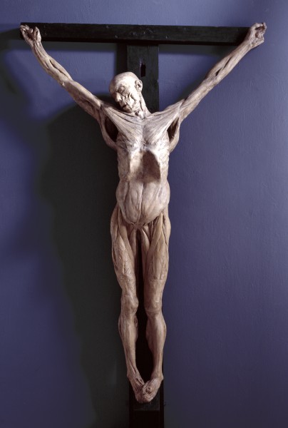 An écorché figure cast as a crucified Christ from the executed body of James Legg (t18011028-39) hanged in 1801.